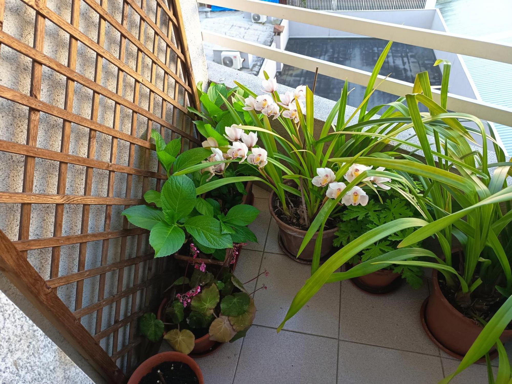 Vivienda Caseiro 오렌세 외부 사진